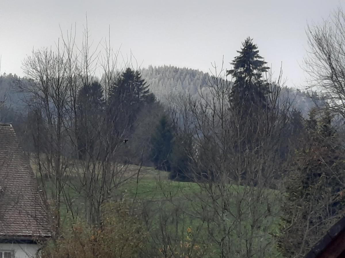 Ferienhaus Ketterer Hinterzarten Εξωτερικό φωτογραφία